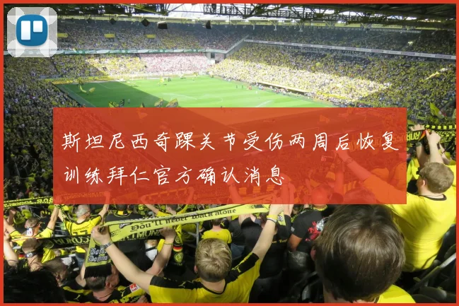 斯坦尼西奇踝关节受伤两周后恢复训练拜仁官方确认消息