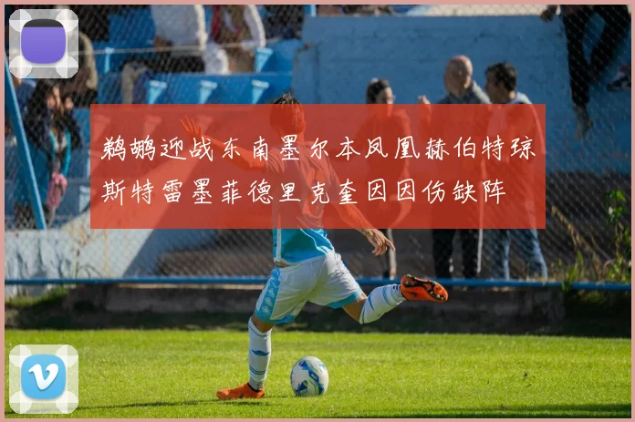 鹈鹕迎战东南墨尔本凤凰赫伯特琼斯特雷墨菲德里克奎因因伤缺阵