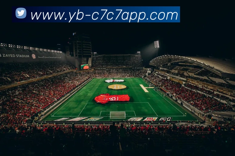 C7C7娱乐平台生态图